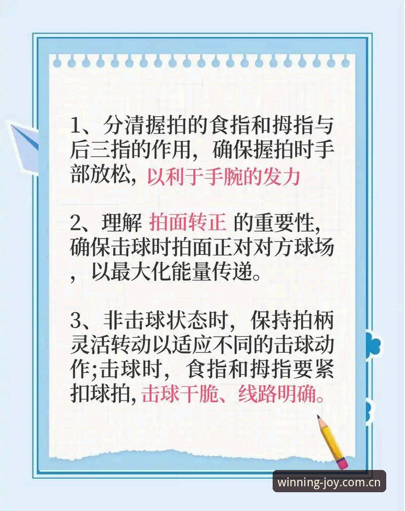 最新盈嘉体育互动全面解析：从新手到高手的实用经验分享